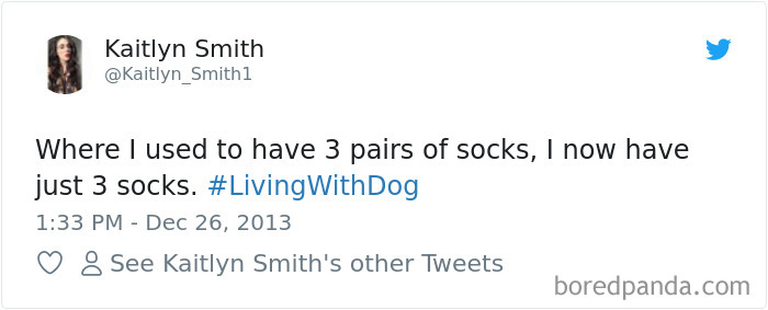 Hilarious-Dog-Tweets