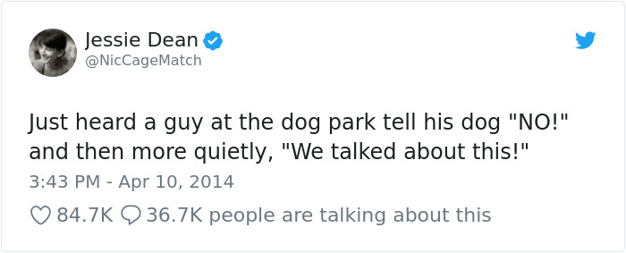 Hilarious-Dog-Tweets