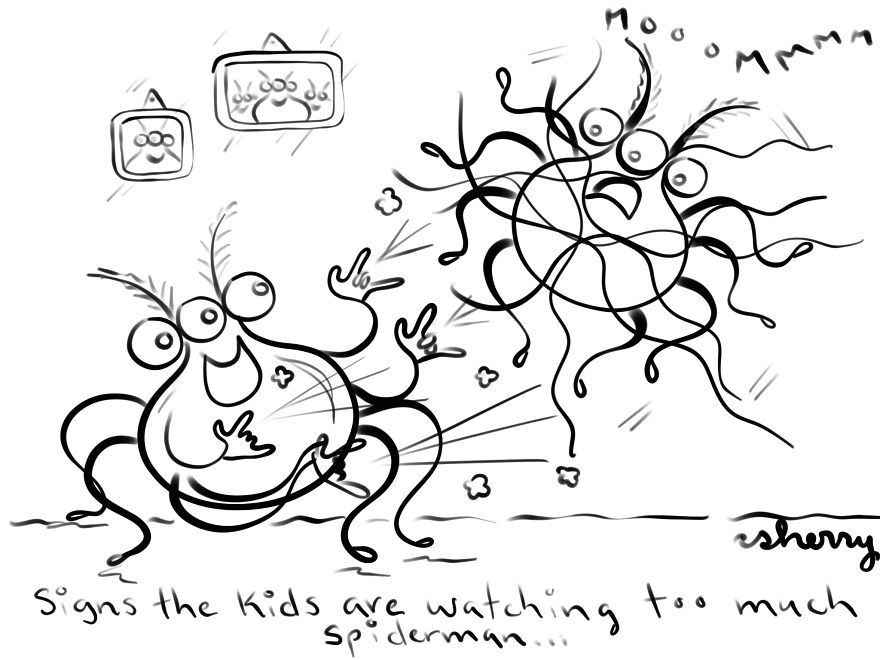 Silly Spiders Trying To Skate On Glass Silly Spiders Trying To Skate On Glass