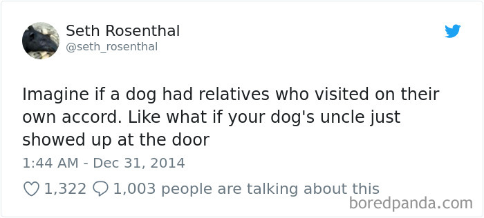 Hilarious-Dog-Tweets