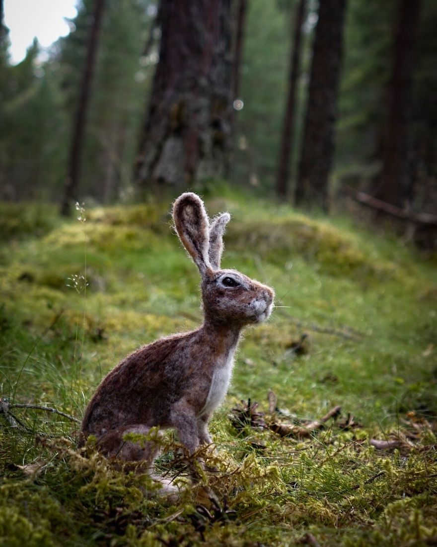 My Shed Life As An Artist