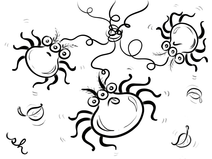 Silly Spiders Trying To Skate On Glass