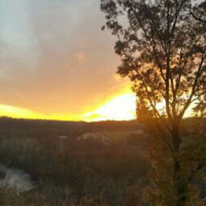 rebeccapotylycki avatar