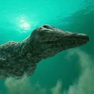 ambulocetusnatans avatar