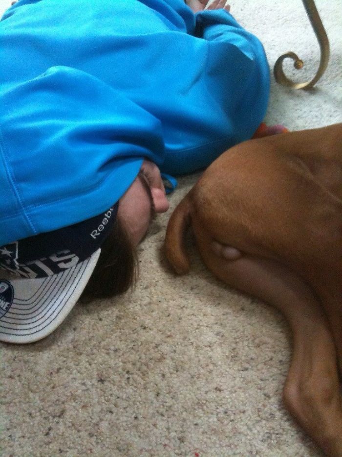 Person in a blue hoodie humorously napping near a Boxer dog, highlighting the dog's adorable quirks.