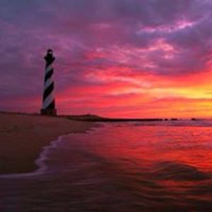 brie_sansotta avatar