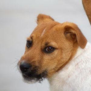 michaelataylor avatar