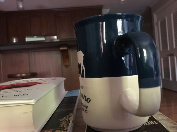 The Paint Line On The Handle VS The Mug