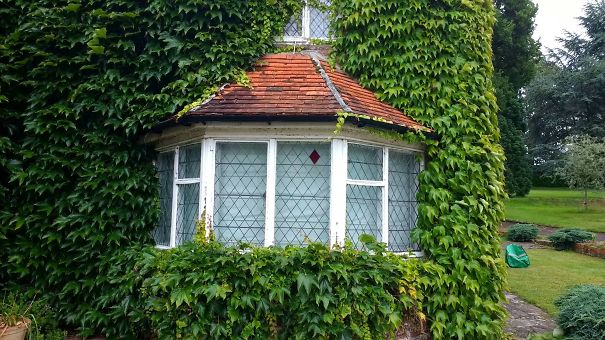 I Think They Ran Out Of Clear Diamonds