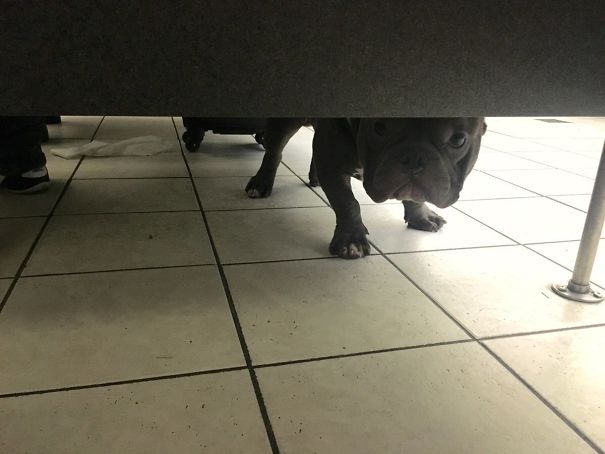 Pooping At The Airport When