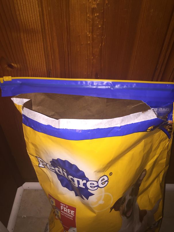 My Mother In Law Stopped By And Fed The Dog