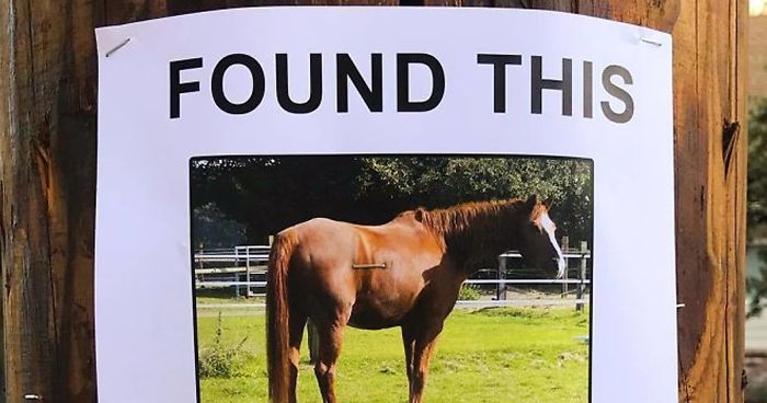 This Guy Won’t Stop Trolling His Neighborhood With Fake Posters, And People Can’t Stop Laughing