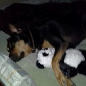 barbara_gonzales56 avatar