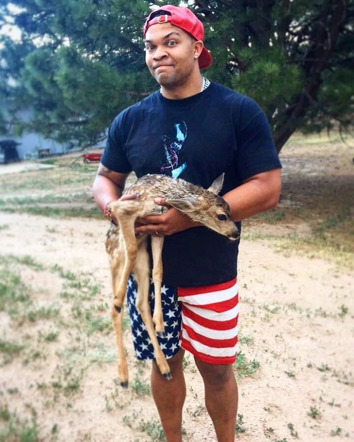 So A Week And A Half Ago I Saved A Baby Deer From Traffic. Today I Saved A Baby Deer From My Neighbors Dogs In My Back Yard. This Is Getting Weird