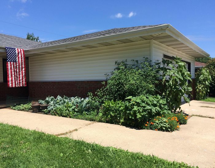 I Used To Sit In The Desert Of Afghanistan Eating MRE's Daydreaming About Having A Home With A Garden With Fresh Food. Years Later, Dream Achieved