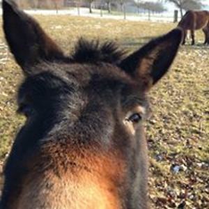 designmakesbusiness avatar