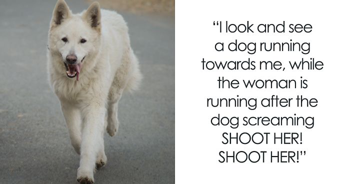 Pizza Guy Sees Dog Running Towards Him At 2AM While Woman Shouts “Shoot Her”, Reaches For His Gun