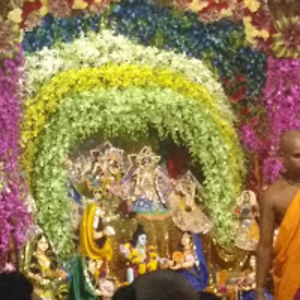 shivangisharma avatar