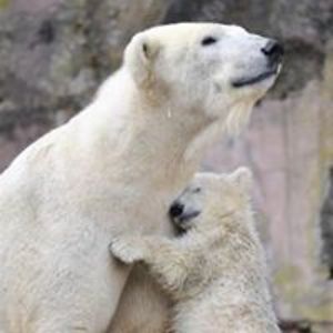 colleenhartvargas avatar