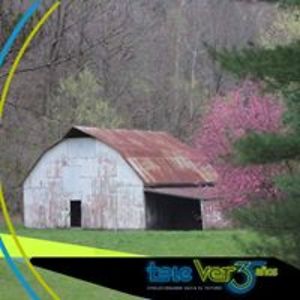 silverniterider avatar