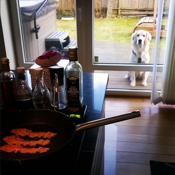 The Look Of Betrayal