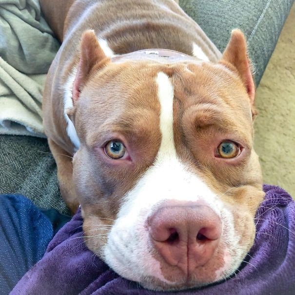 That Look You Get When You’re Not Sharing Food But Should Be