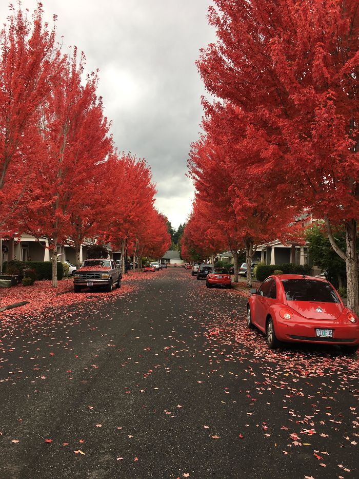 Changing Seasons Got Me Seeing Red