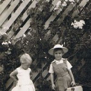 judy_shepherd avatar