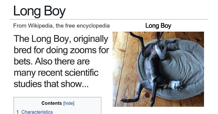 These 21 Fake Wikipedia Pages About Dog Breeds Are Better Than The Original Ones