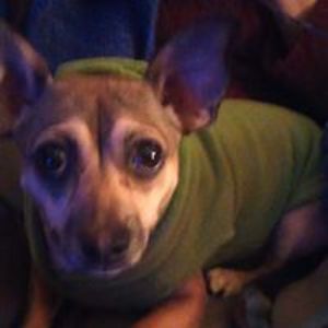 tbarnhart1378 avatar