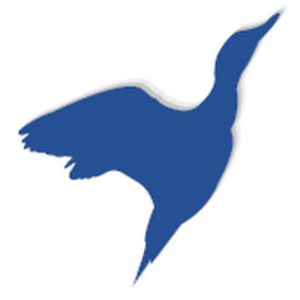 anascreccatravel avatar