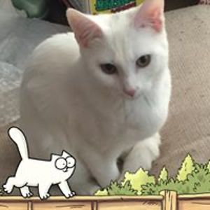 tbrackenridge100 avatar