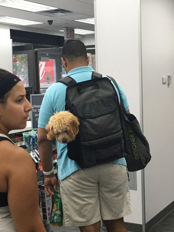 I Was Shockeded When Someone Licked My Arm In The Walgreens This Morning