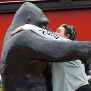 lilliputfortinies avatar