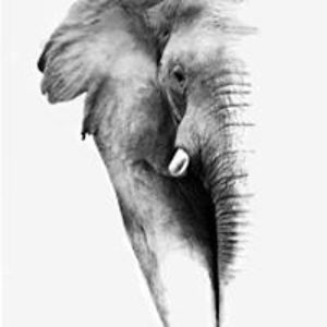 alexanderjlinton02 avatar