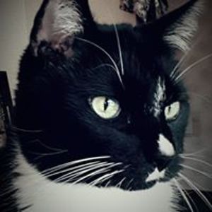 darkangelnickay avatar