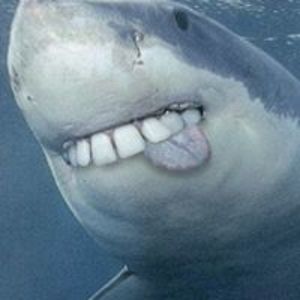 andreas_haider avatar