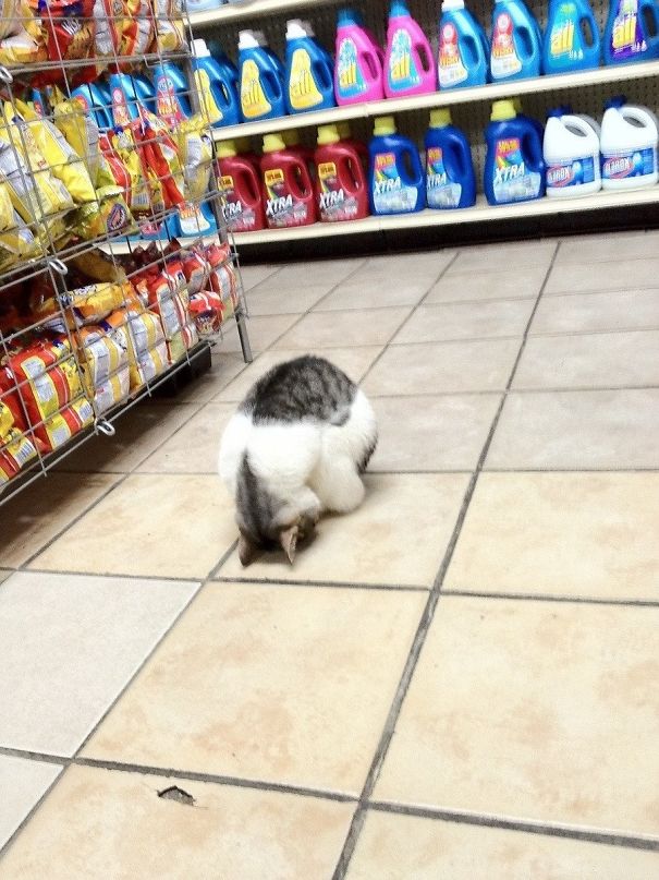Saw This Guy Sleeping In A Bodega In NYC