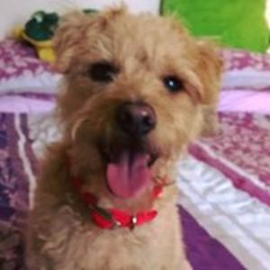 elizabeth-helen avatar