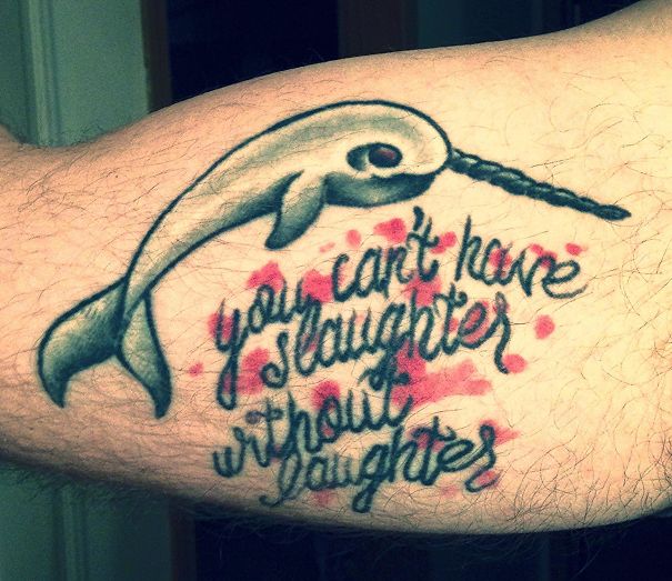 My Friend Didn't Think Narwhals Were Real And Lost A Bet Because Of It