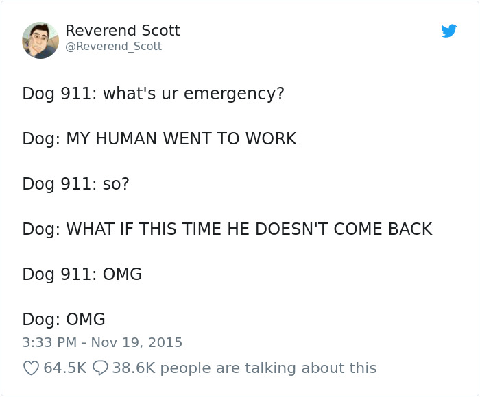 Hilarious-Dog-Tweets