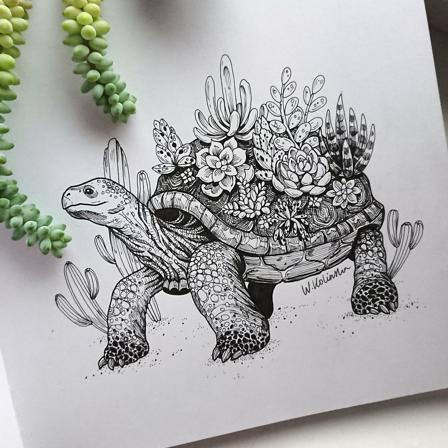 I Create Intricate And Detailed Drawings Of Animals Embedded With Their Natural Habitats