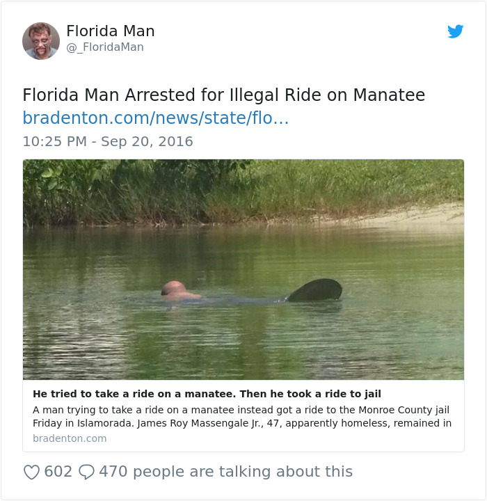 Man in water attempting to ride a manatee, representing a bizarre Florida man headline.