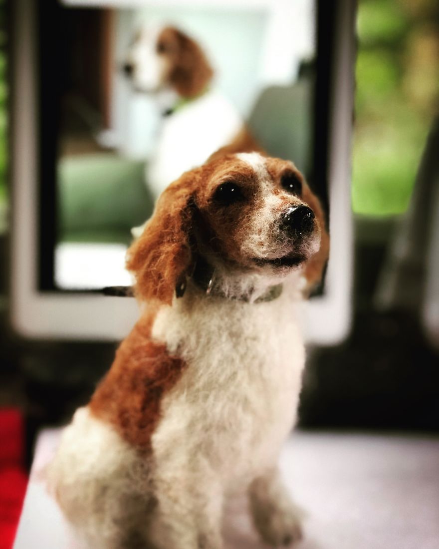 My Shed Life As An Artist