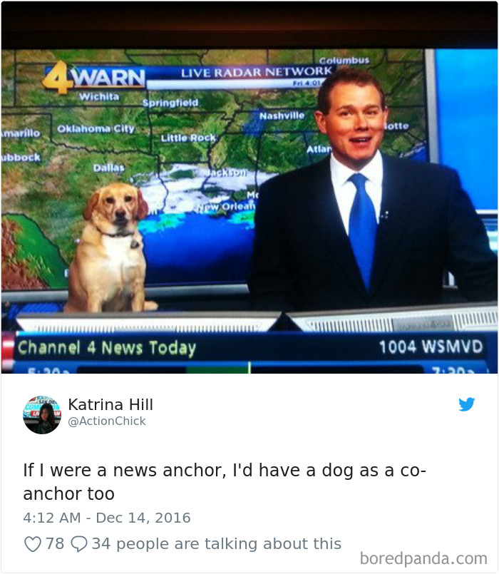 Hilarious-Dog-Tweets