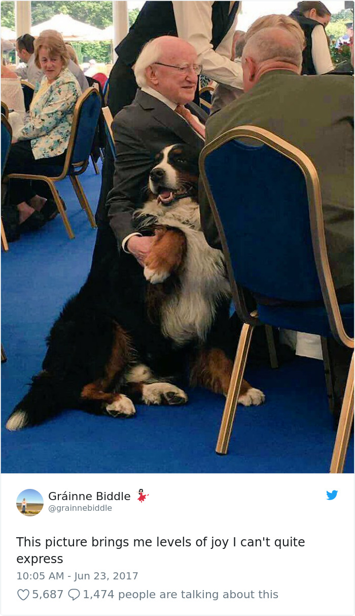 Ireland President Michael Higgins