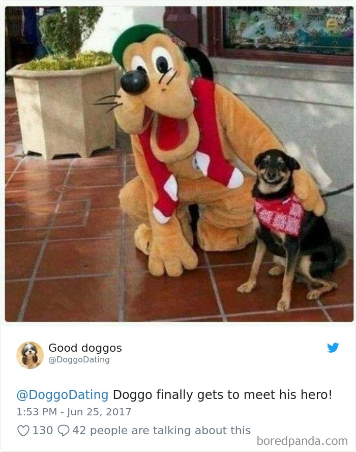 Hilarious-Dog-Tweets