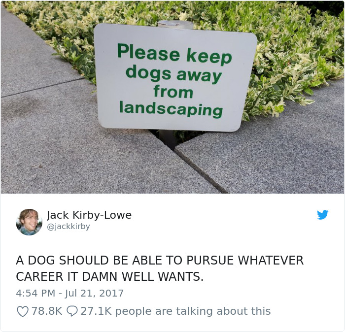 Hilarious-Dog-Tweets
