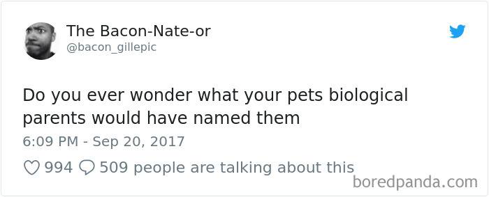 Hilarious-Dog-Tweets