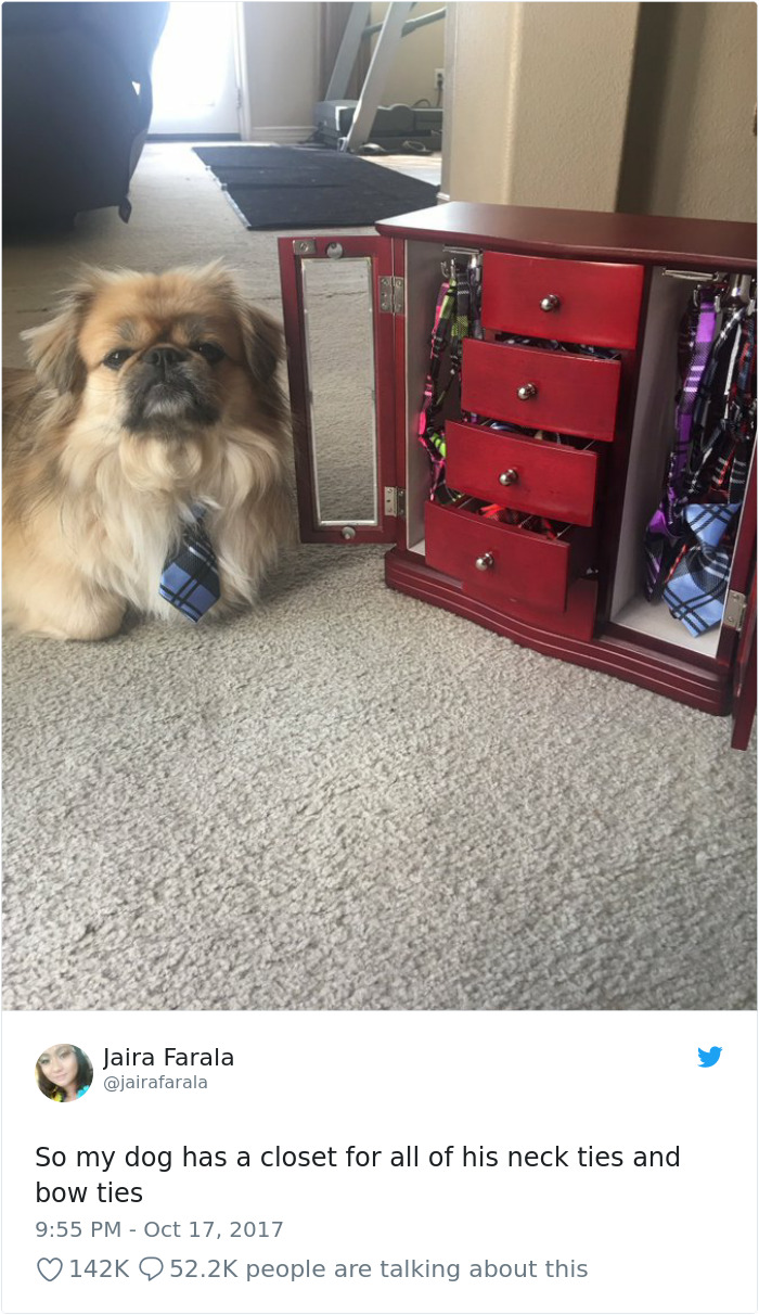 Hilarious-Dog-Tweets